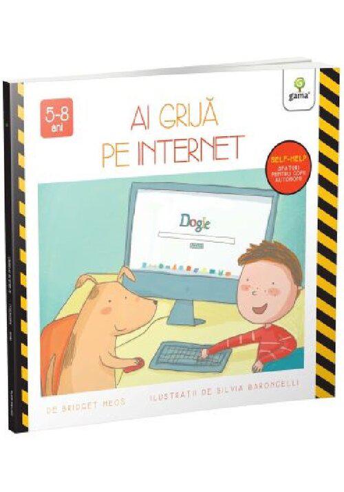 Ai grija pe internet - coperta