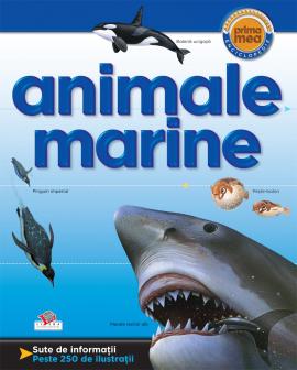 Animale marine Prima mea enciclopedie - coperta