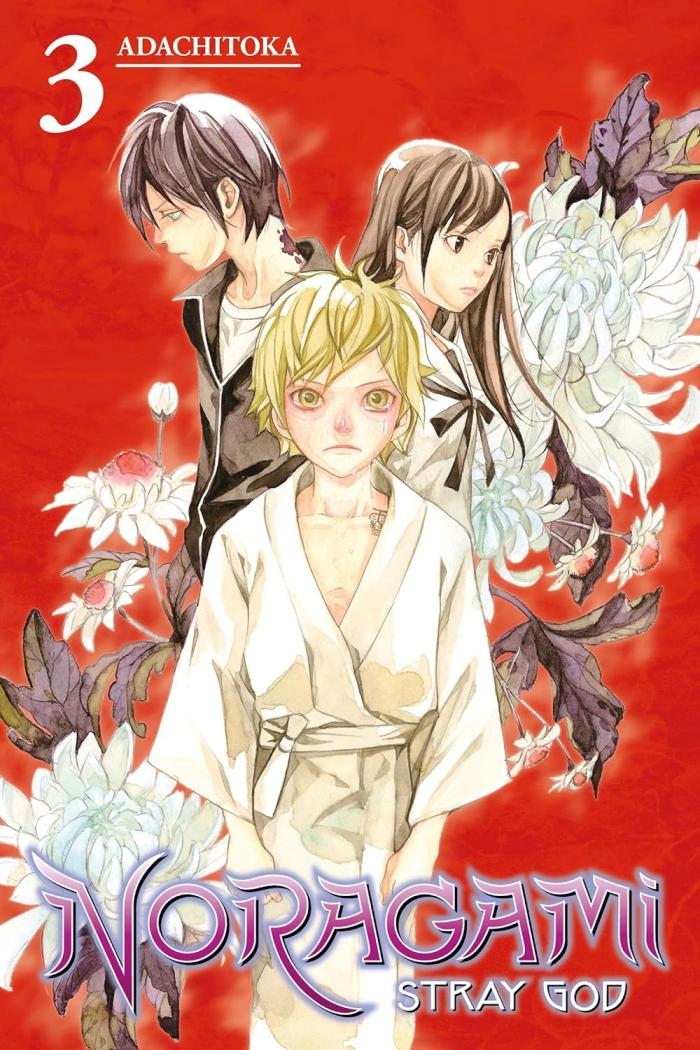 Noragami Stray God Vol 3 - coperta