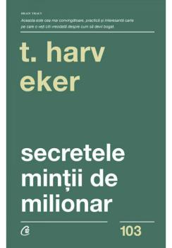 Secretele mintii de milionar - coperta