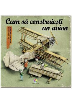 Cum sa construiesti un avion - coperta