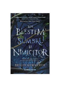 Un blestem sumbru si nimicitor Seria Distrugatorii de blesteme Vol 1 - coperta