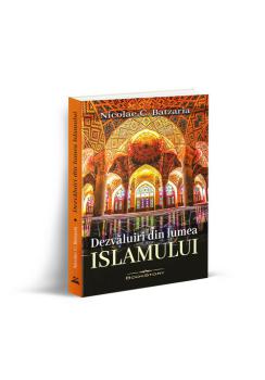 DEZVALUIRI DIN LUMEA ISLAMULUI - coperta