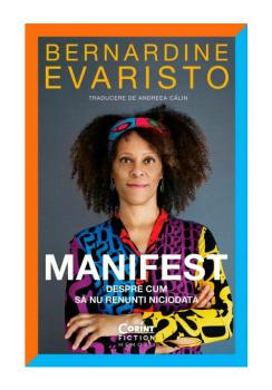 Manifest Despre cum sa nu renunti niciodata - coperta