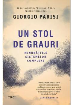 Un stol de grauri Minunatiile sistemelor complexe - coperta
