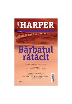 Barbatul ratacit - coperta