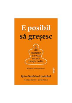 E posibil sa gresesc - coperta