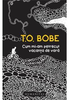 Cum mi am petrecut vacanta de vara - coperta