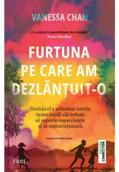 Furtuna pe care am dezlantuit o - coperta