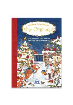 Vine Craciunul 24 de povesti cu Tilda Snofrid si alti prieteni - coperta