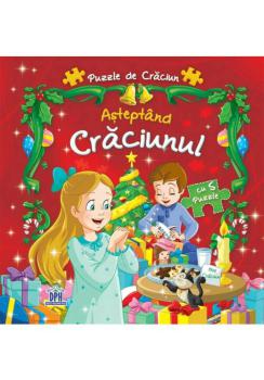 Asteptand Craciunul - coperta