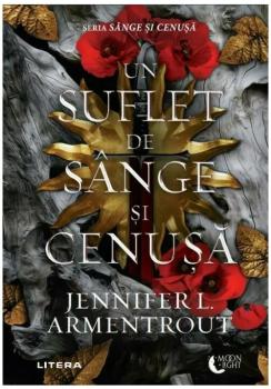 Un suflet de sange si cenusa - coperta