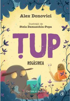 Tup Regasirea - coperta