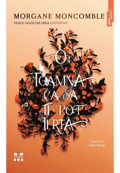 O toamna ca sa te pot ierta - coperta