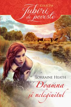 Doamna si nelegiuitul - coperta