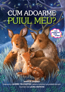 Cum adoarme puiul meu  - coperta