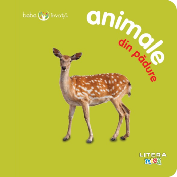 Bebe invata Animale din padure - coperta