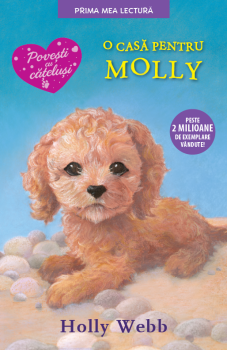 O casa pentru Molly - coperta