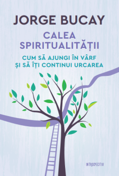 Calea spiritualitatii Cum sa ajungi in varf si sa iti continui urcarea - coperta
