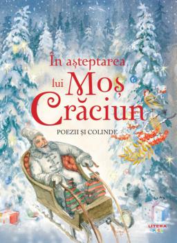 In asteptarea lui Mos Craciun - coperta