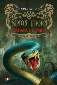 Simon Thorn si groapa cu serpi - coperta