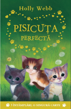 Pisicuta perfecta - coperta
