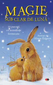 Magie sub clar de Luna 10 povesti cu animalute fermecate - coperta