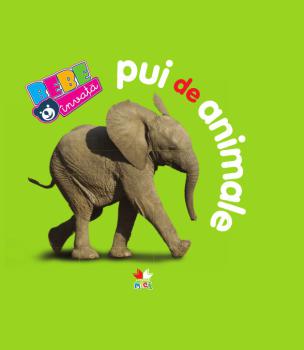 Pui de animale Bebe invata - coperta