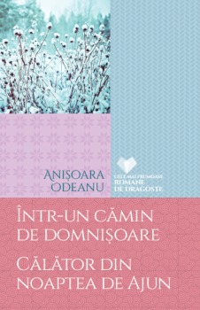 Intr un camin de domnisoare Calator din noaptea de Ajun - coperta