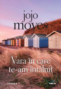 Vara in care te am intalnit - coperta