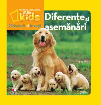 Observa si invata Diferente si asemanari - coperta