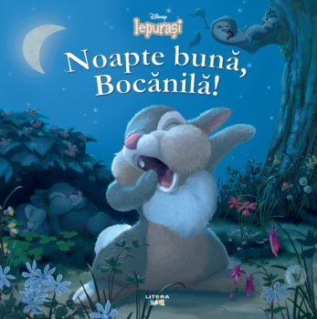 Disney Iepurasi Noapte buna Bocanila  - coperta