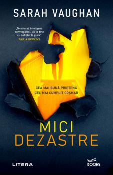 Mici dezastre - coperta