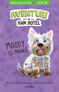 Aventuri la Ham Hotel Moody cea murdara Nivelul 5  - coperta