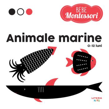 Bebe Montessori Animale marine 0 12 luni  - coperta