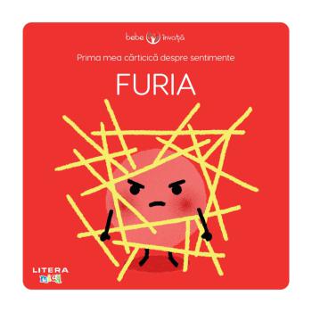 Prima mea carticica despre sentimente Furia - coperta