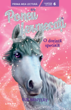 Poneii fermecati O dorinta speciala Nivelul 6  - coperta