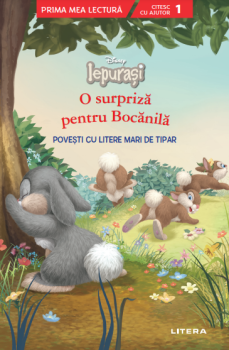Disney Iepurasi O surpriza pentru Bocanila Povesti cu litere mari de tipar Nivelul 1  - coperta