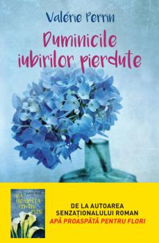 Duminicile iubirilor pierdute - coperta