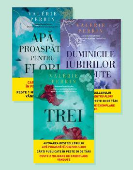 Pachet Valerie Perrin - coperta
