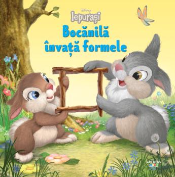 Disney Iepurasi Bocanila invata formele - coperta