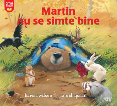 Martin nu se simte bine - coperta