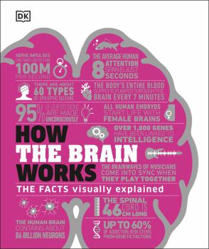 How the Brain Works - coperta