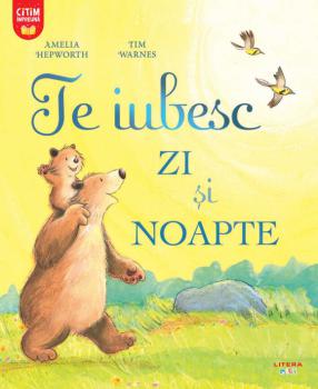 Te iubesc zi si noapte - coperta